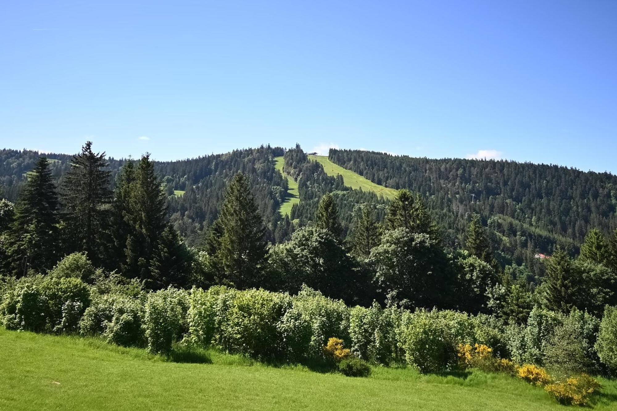 Le Nid Des Vosges - Appt Vue Montagne Apartment Gerardmer Ngoại thất bức ảnh